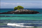 View at Bachas Beach, Santa Cruz Island